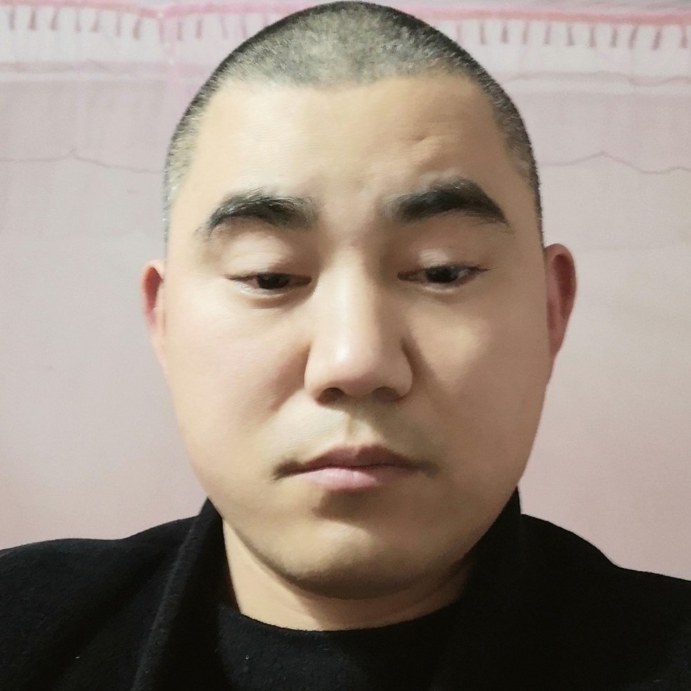 蚂蚁沉默的照片