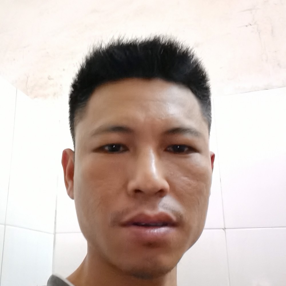 金毛方现实的照片