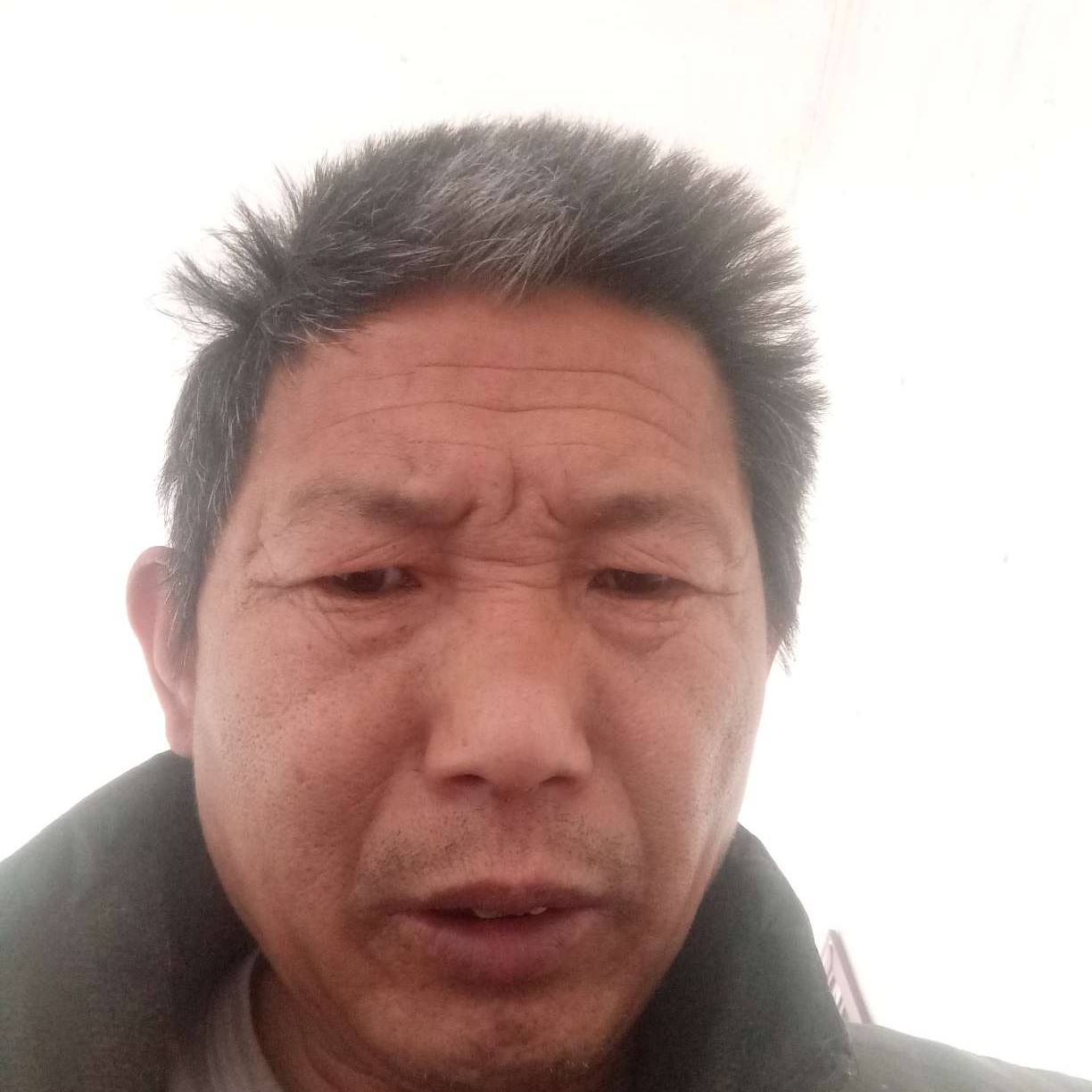 冷傲还沐樱的照片