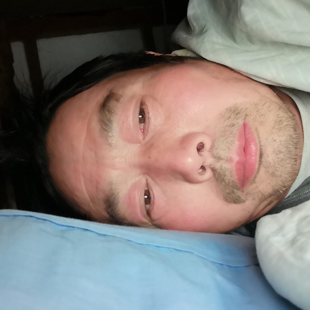 淡定小海豚湾恋人的照片