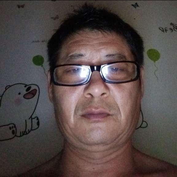 漂泊异乡的狼的照片