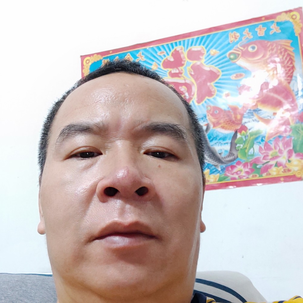 舒荷细心的照片
