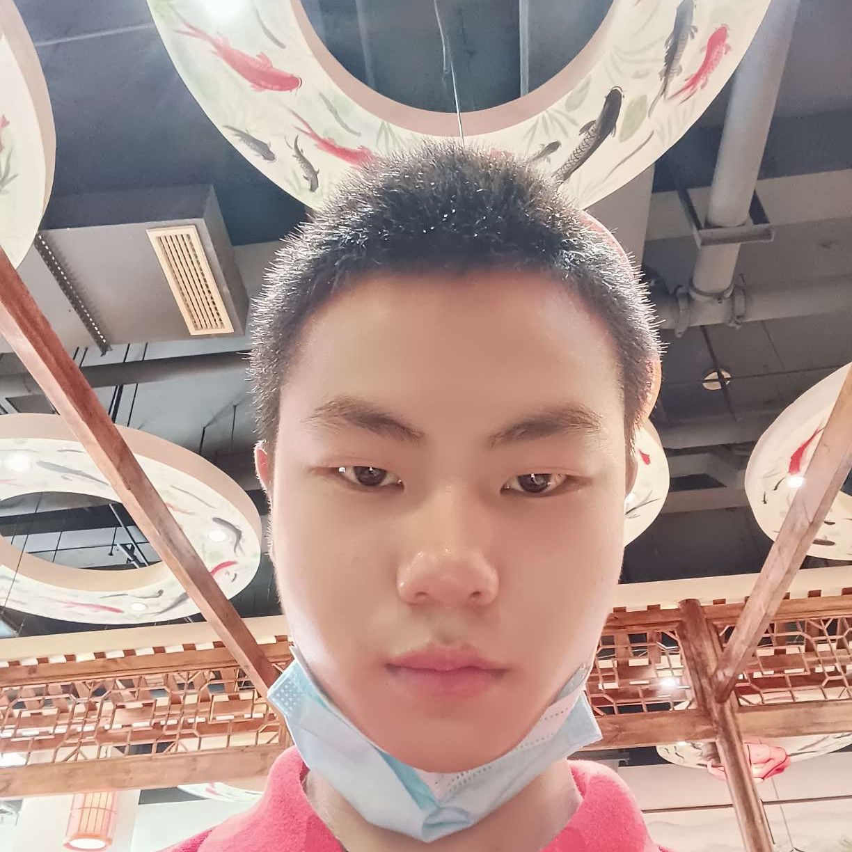 枫叶打靓丽的照片