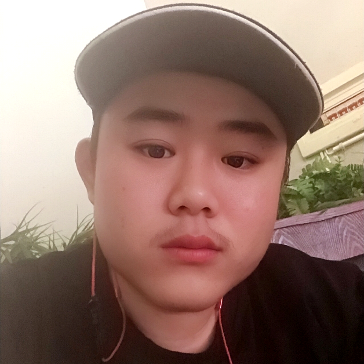 零碎停止雪碧的照片