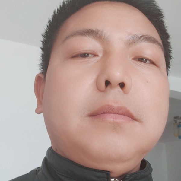 乌龟瘦瘦的照片