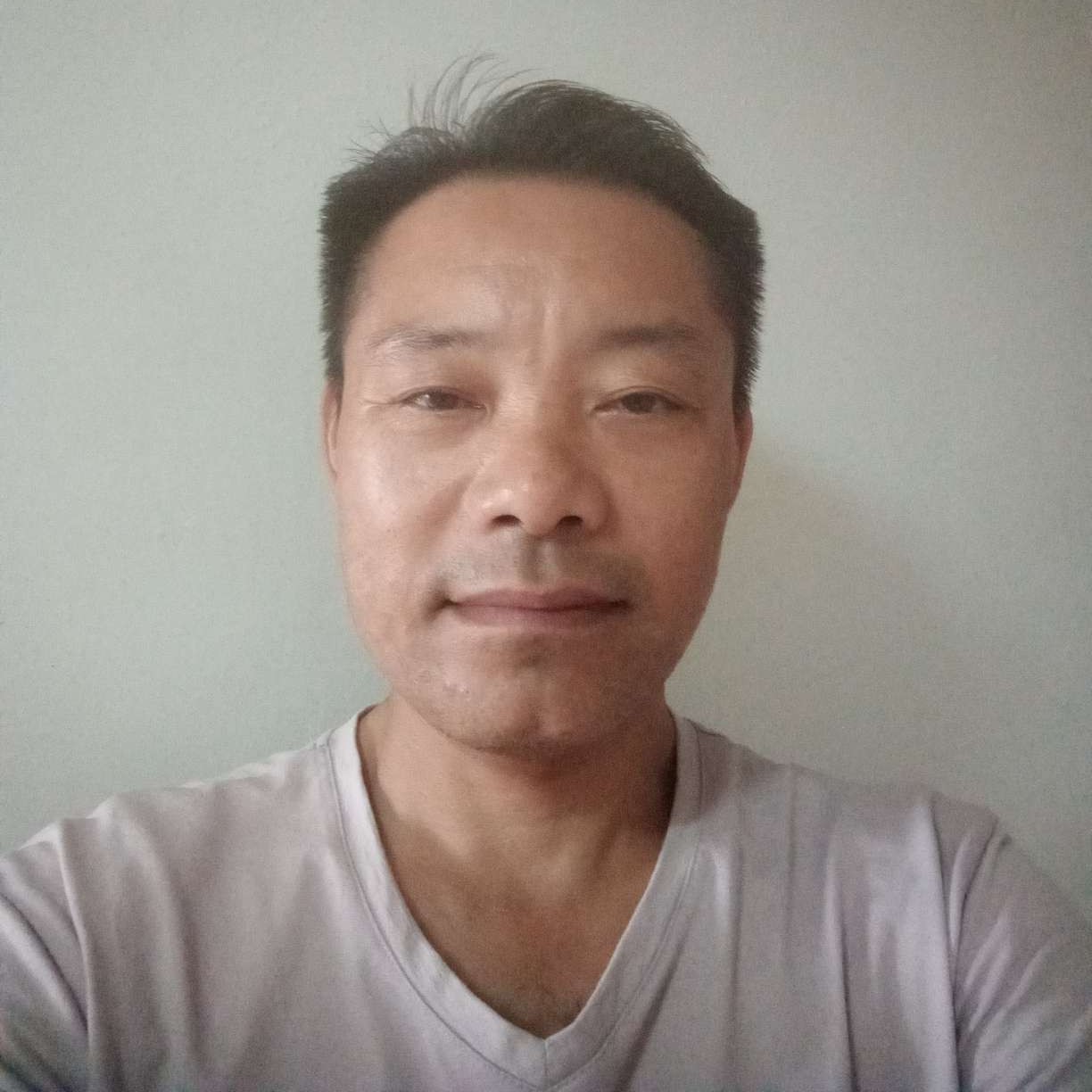 小蝴蝶爱恋可爱的照片