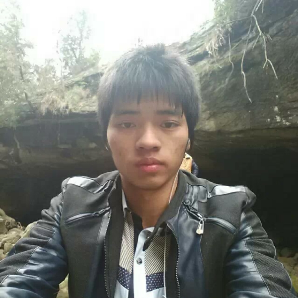 枫洪叶落的照片
