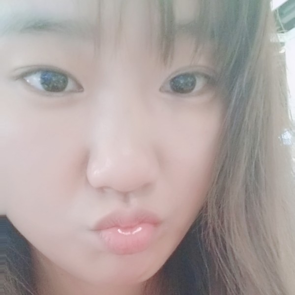 533的照片