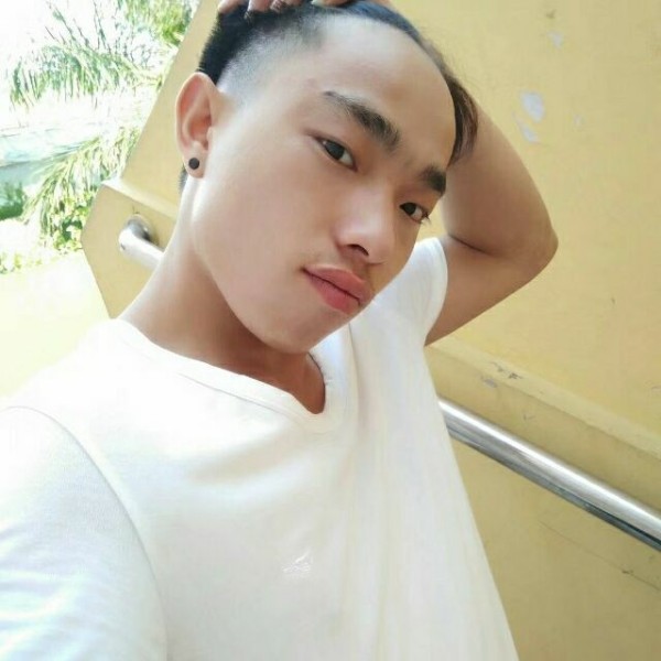 追寻树叶的照片