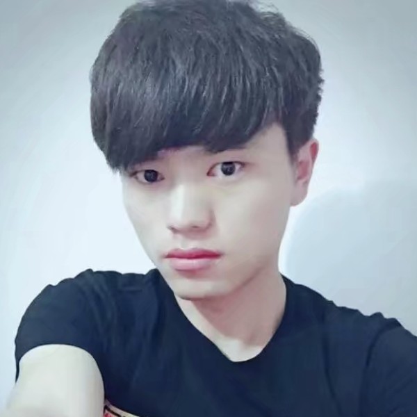 零碎漫步小蚂蚁的照片