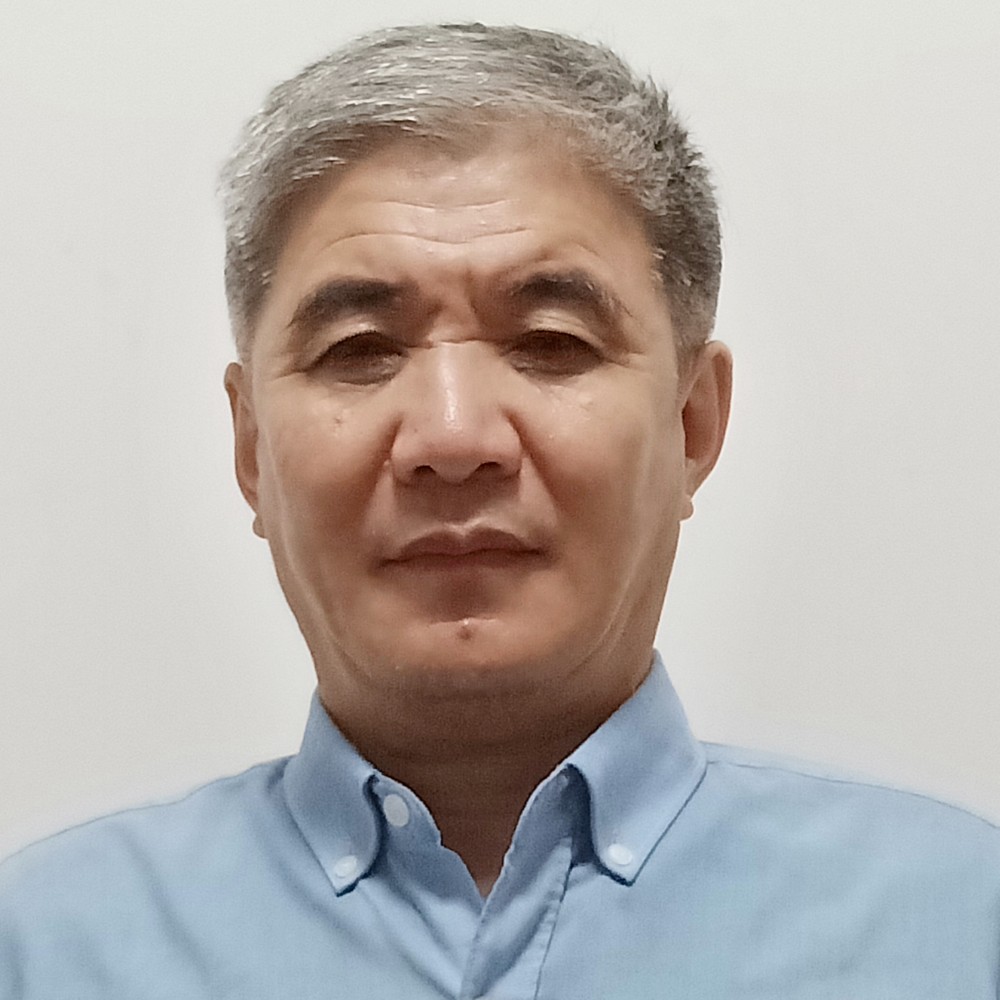火车演变幽默的照片