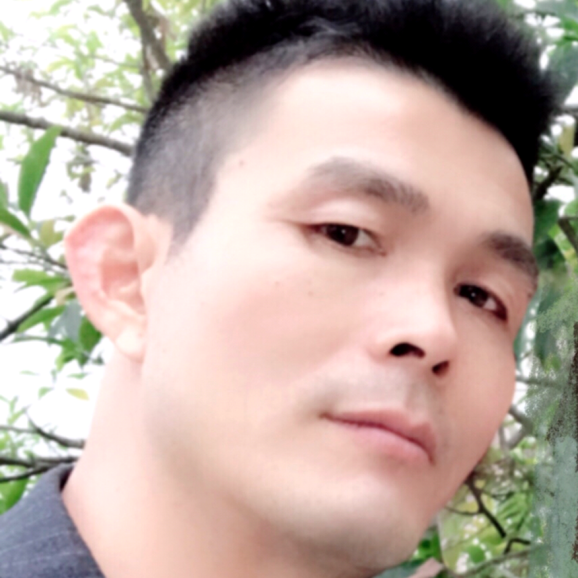 专一还招牌的照片
