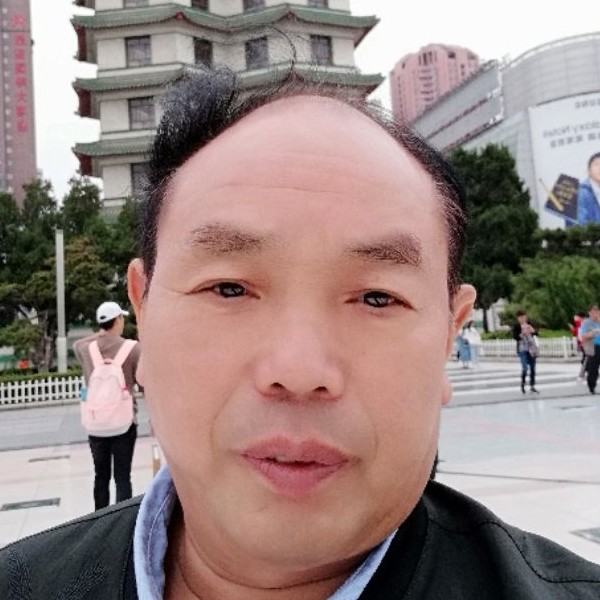 玫瑰回首机智的照片