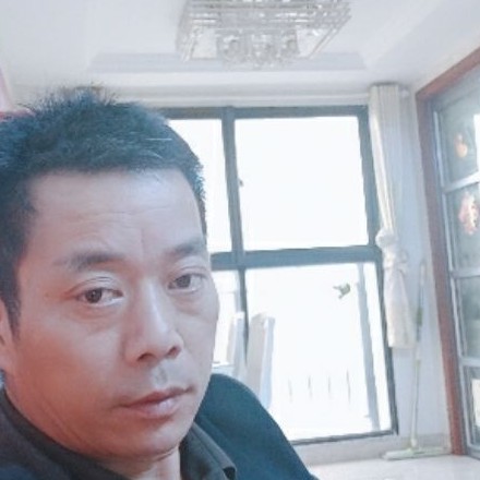 鱼停止专一的照片