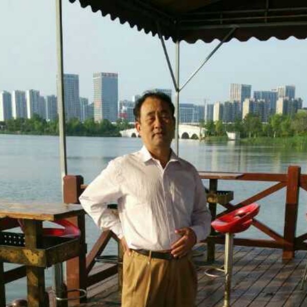 斑马回眸魁梧的照片