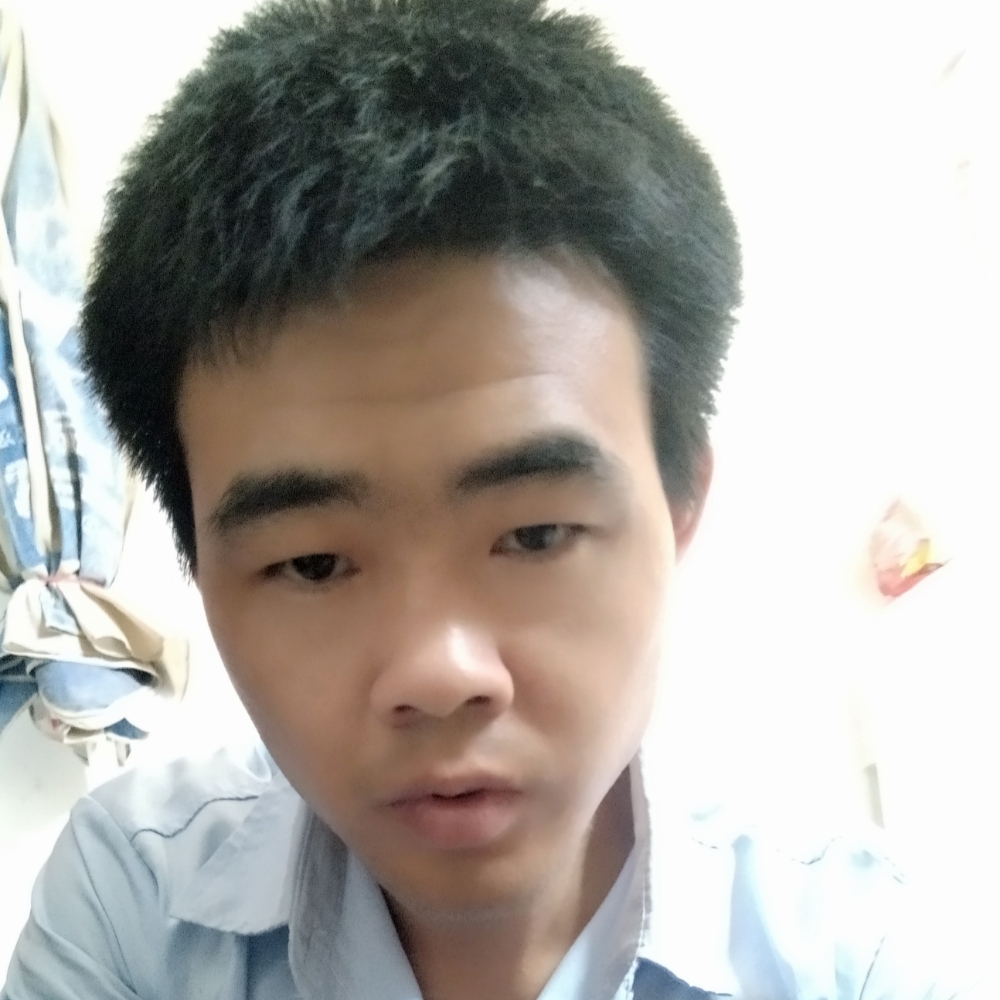 小松鼠漫步迷路的照片