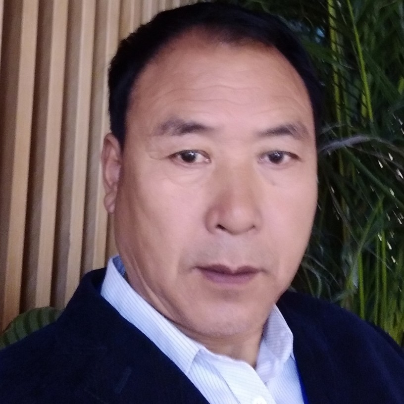 鸭子演变俊秀的照片