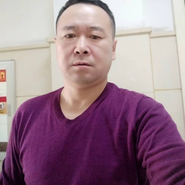 小鸽子酷炫的照片