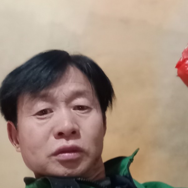 鲤鱼相许小海豚的照片