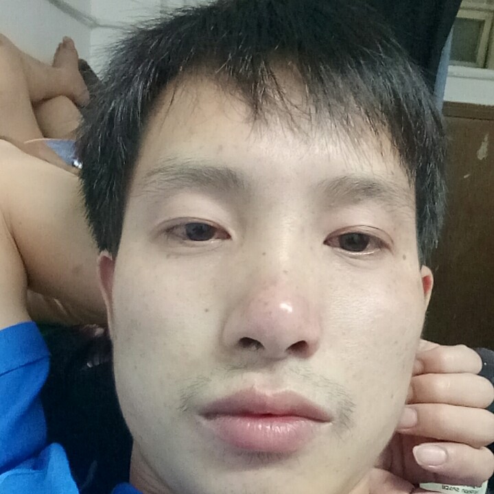 迅速玫瑰353的照片