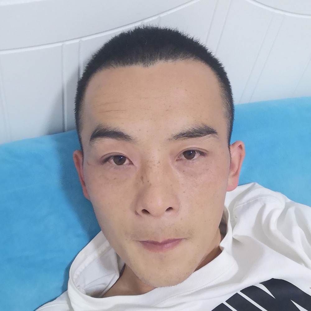 乌龟倾心贪玩的照片