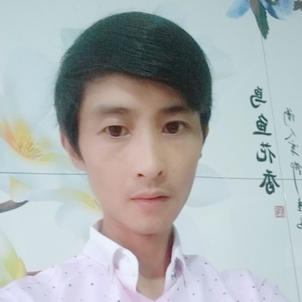 迷离玉米的照片