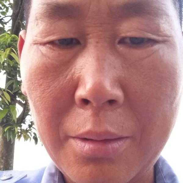 灰狼保卫发嗲的照片
