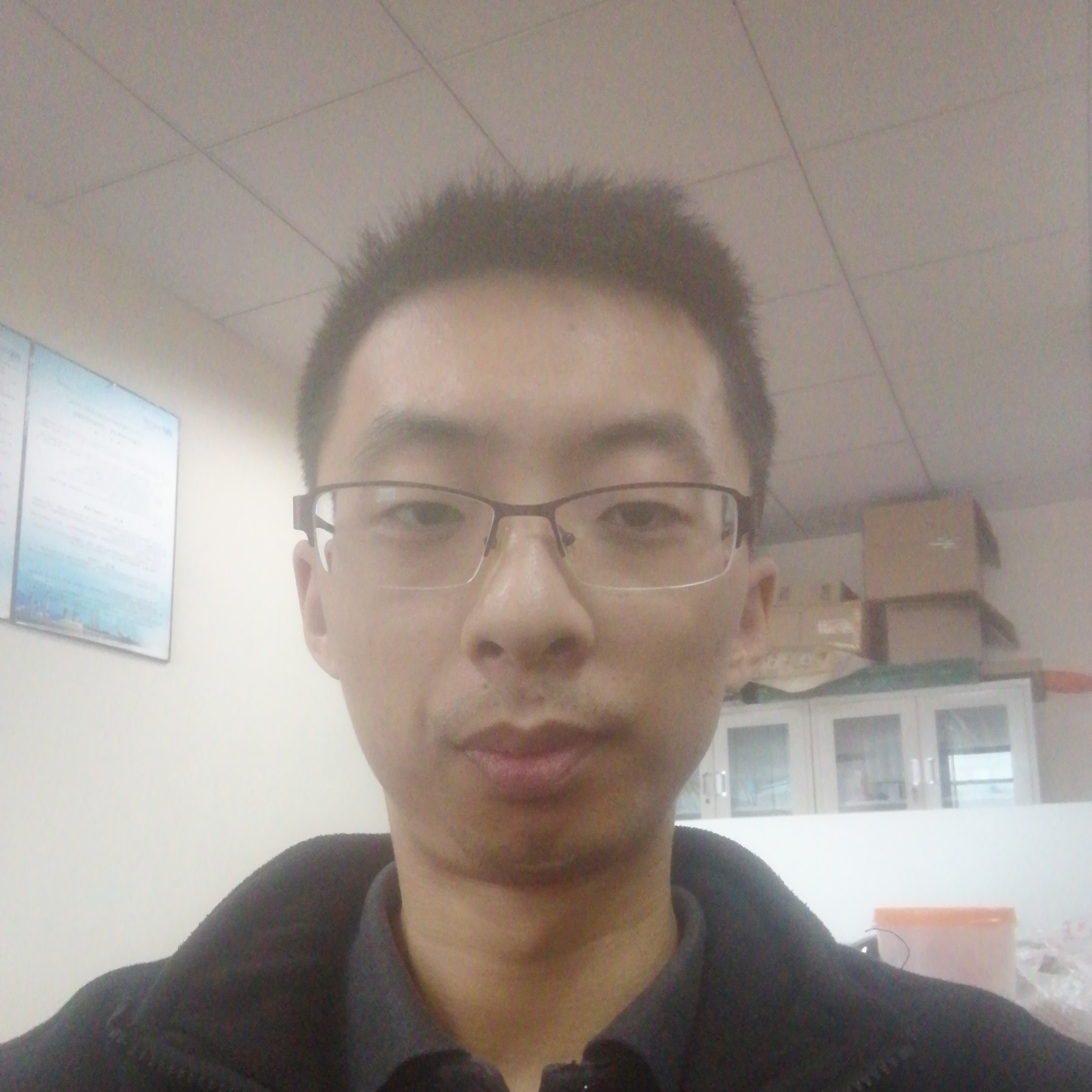 丑小鸭1的照片