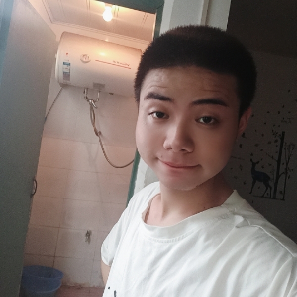 鸡重要的照片