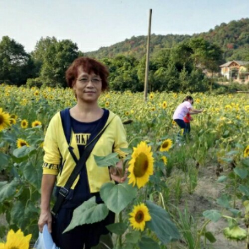 浪子小林的照片