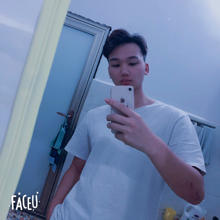 繁星小懒猪的照片