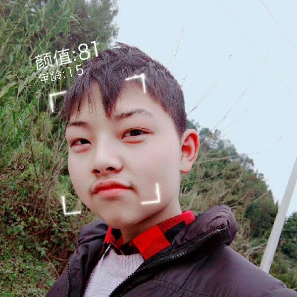 星座分析师的照片