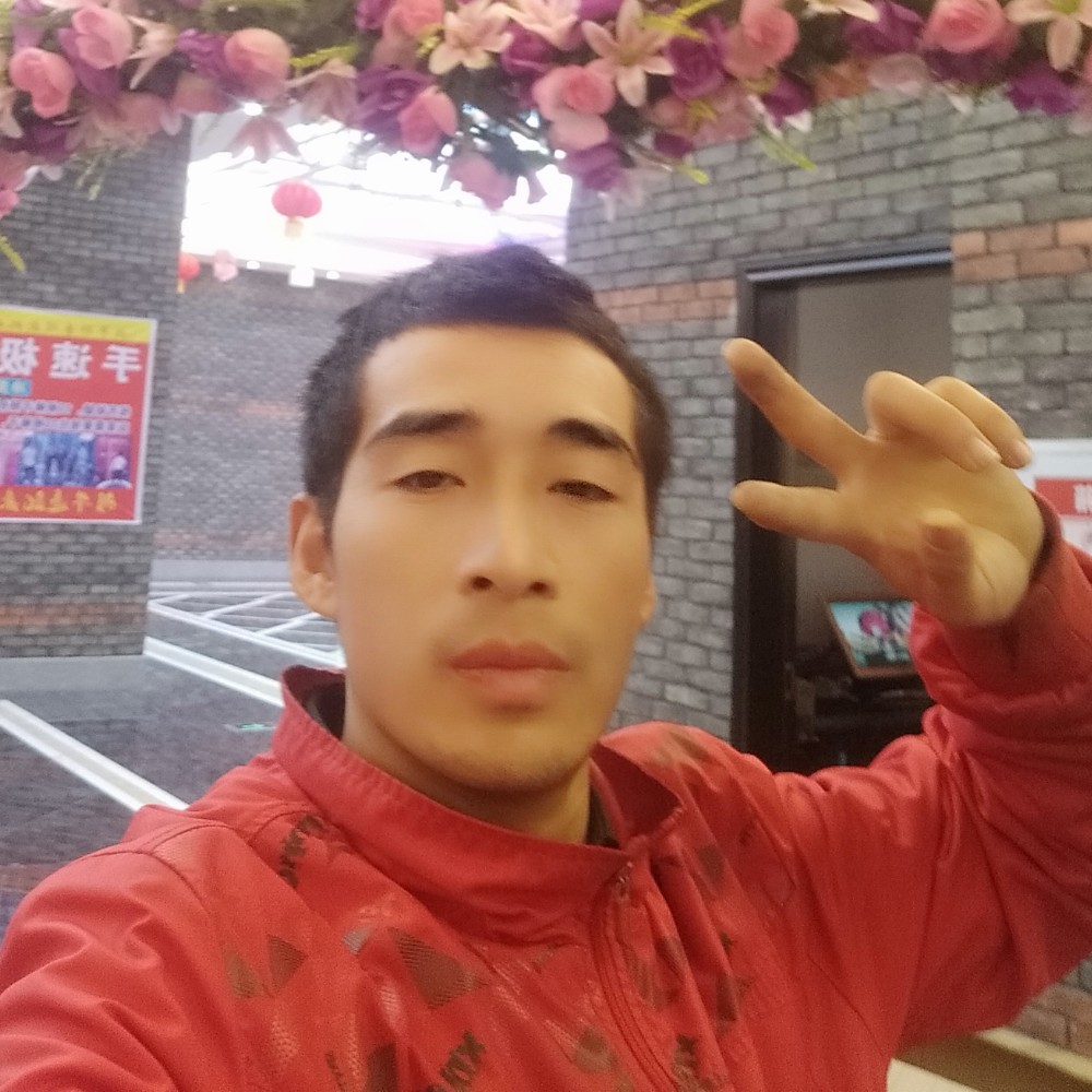 百合蹁跹现实的照片