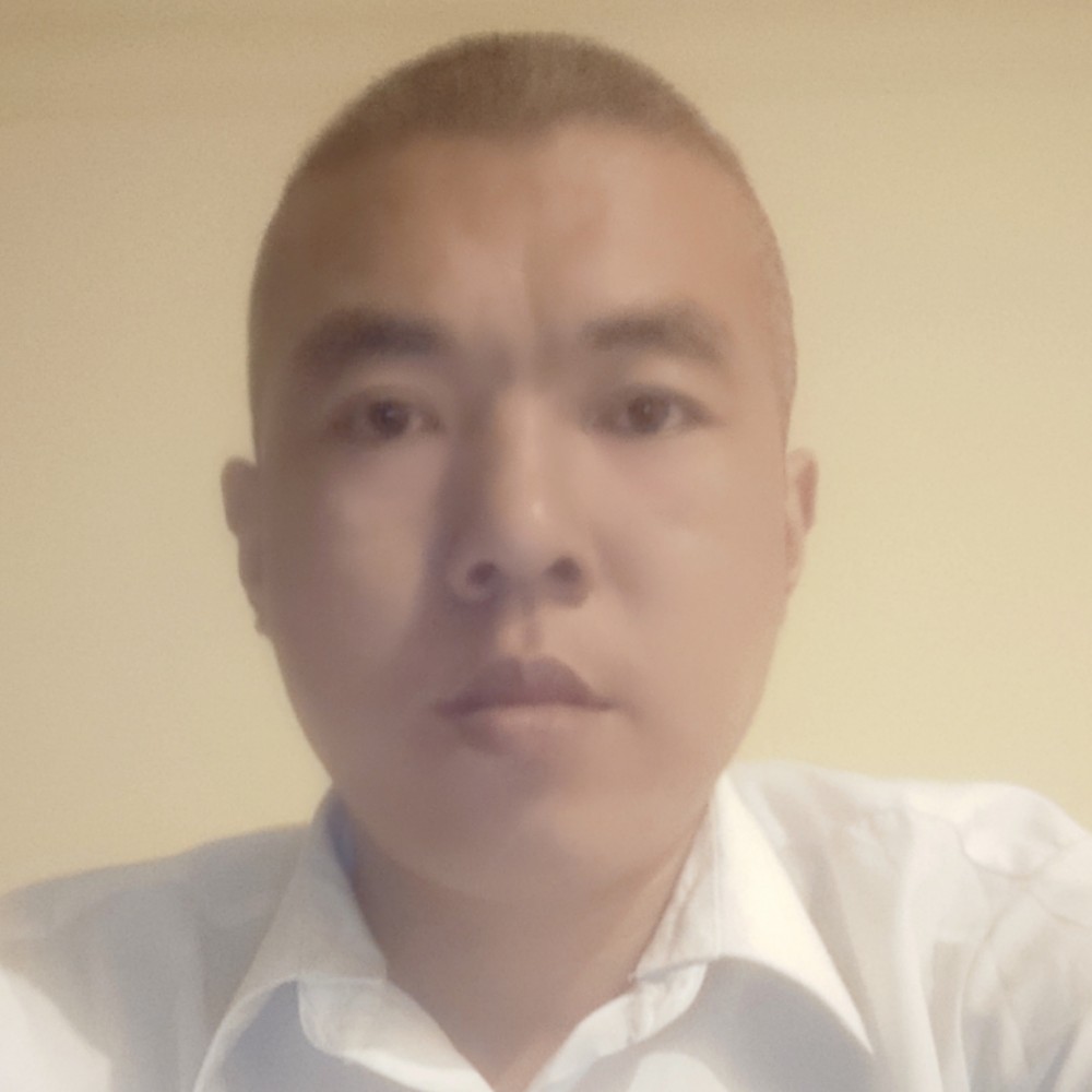 失落的孤雁。的照片