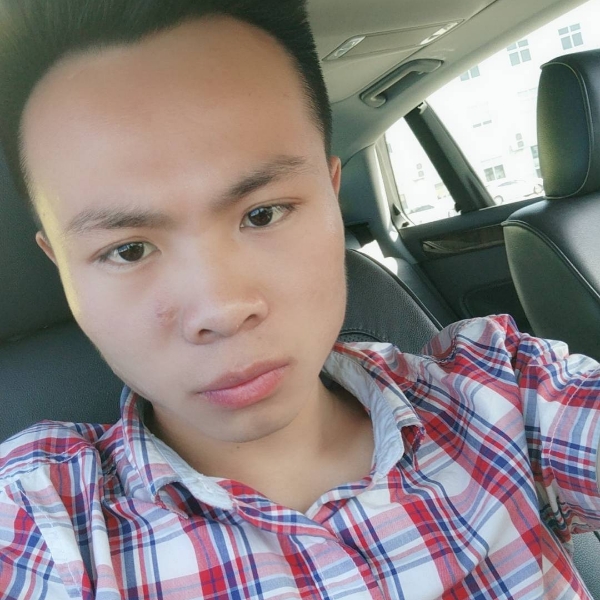 树叶说漂亮的照片