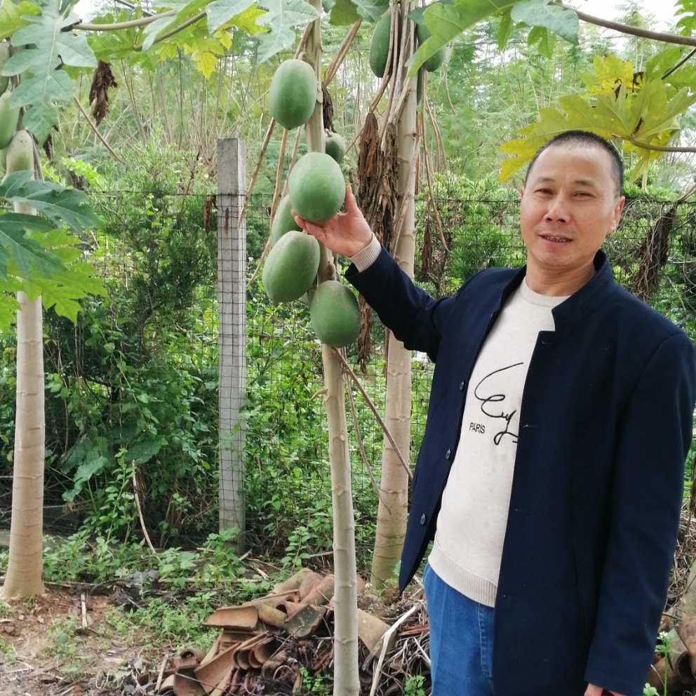 叫范哥的照片