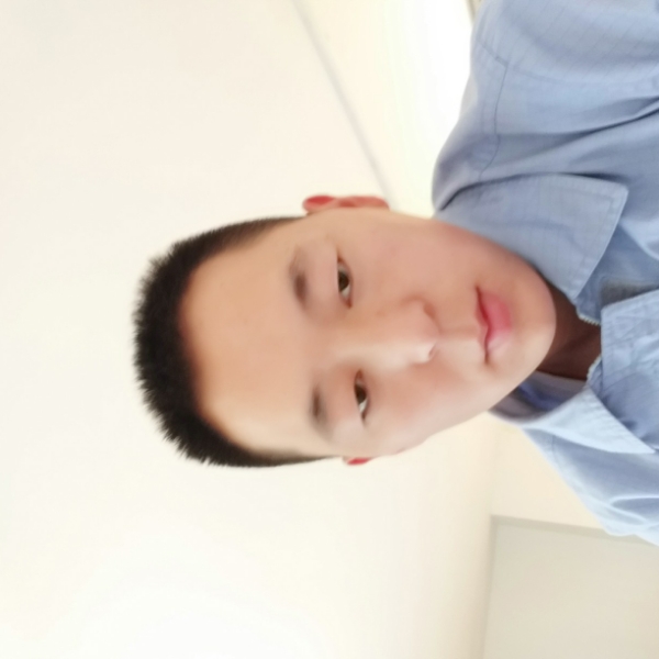 静静的白桦林的照片