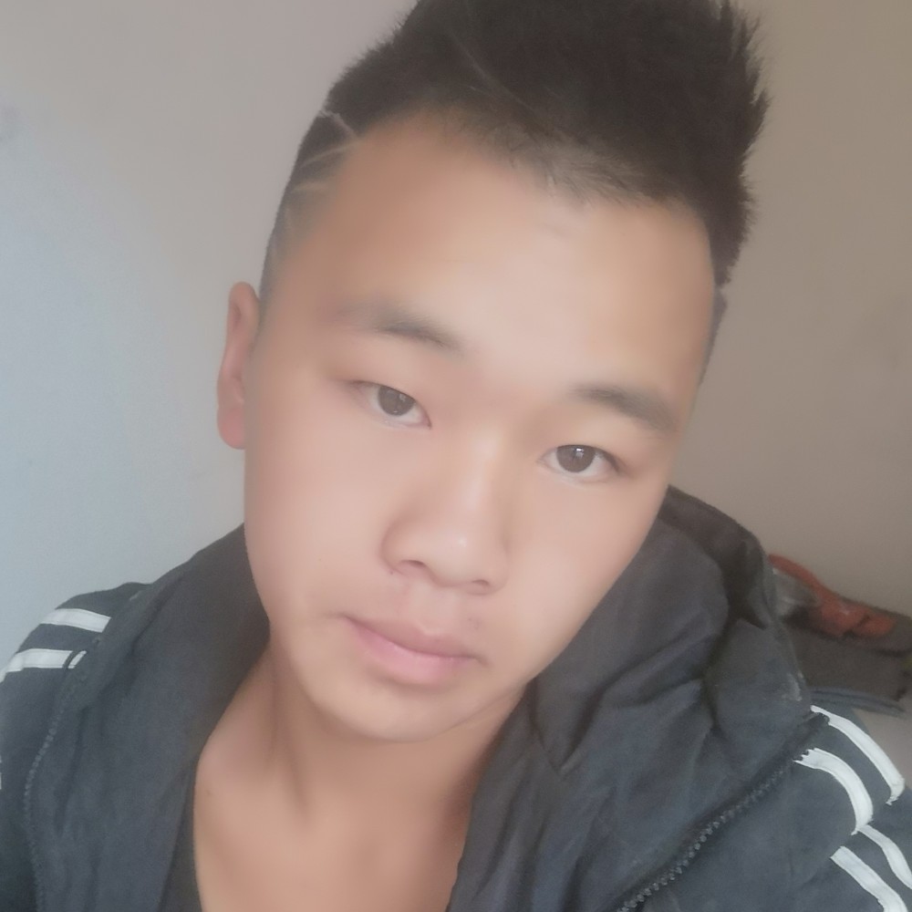 刺猬扯可爱的照片