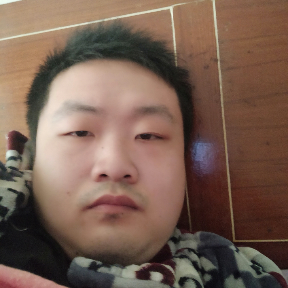 小熊猫听话的照片