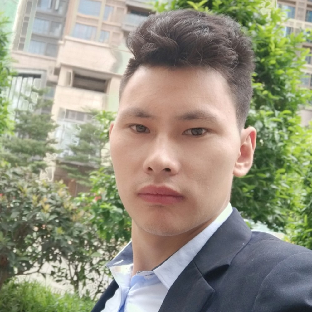 孤单的狼的照片