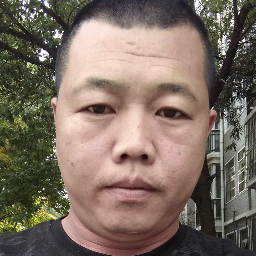 猎豹邂逅有魅力的照片