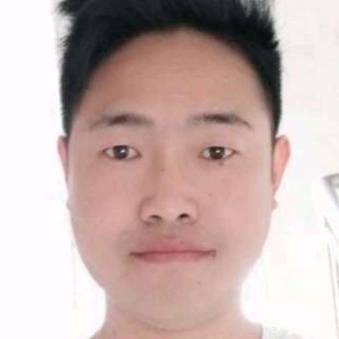 河马挽手浮生的照片