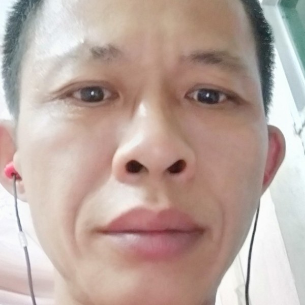 单纯苦恋洋葱的照片
