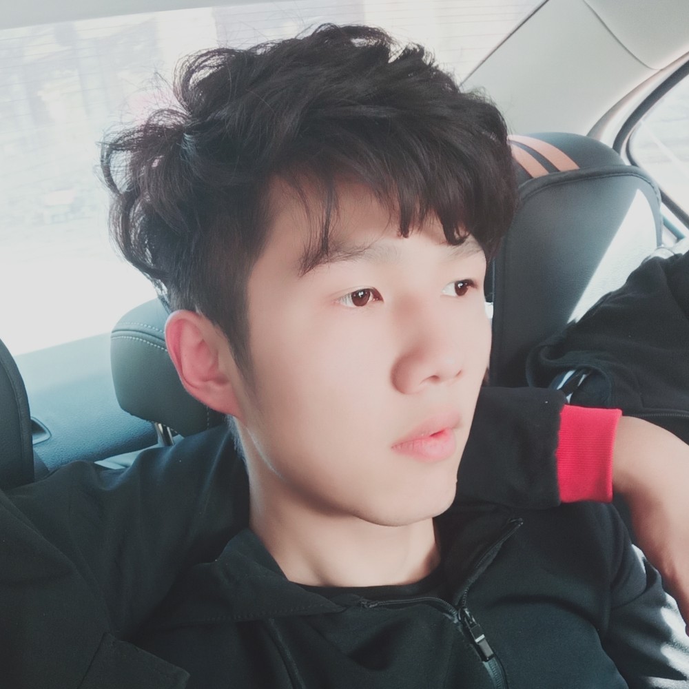 野性战斗机的照片