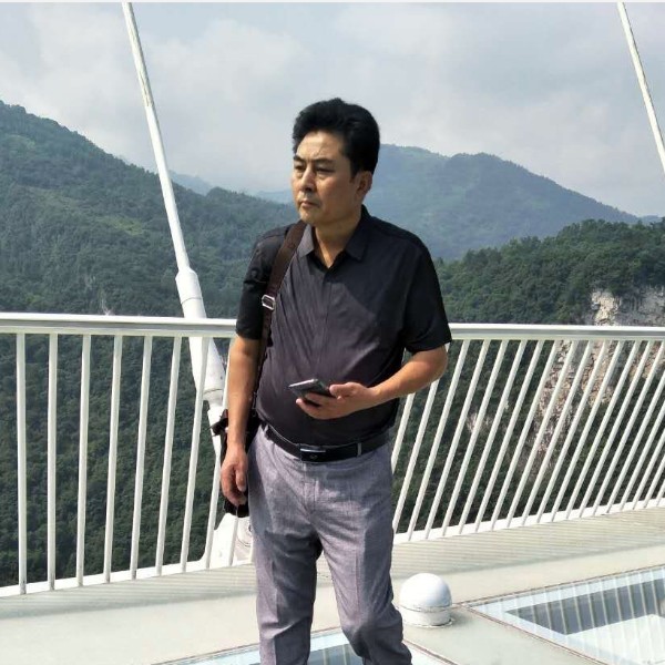 西牛等待透彻的照片