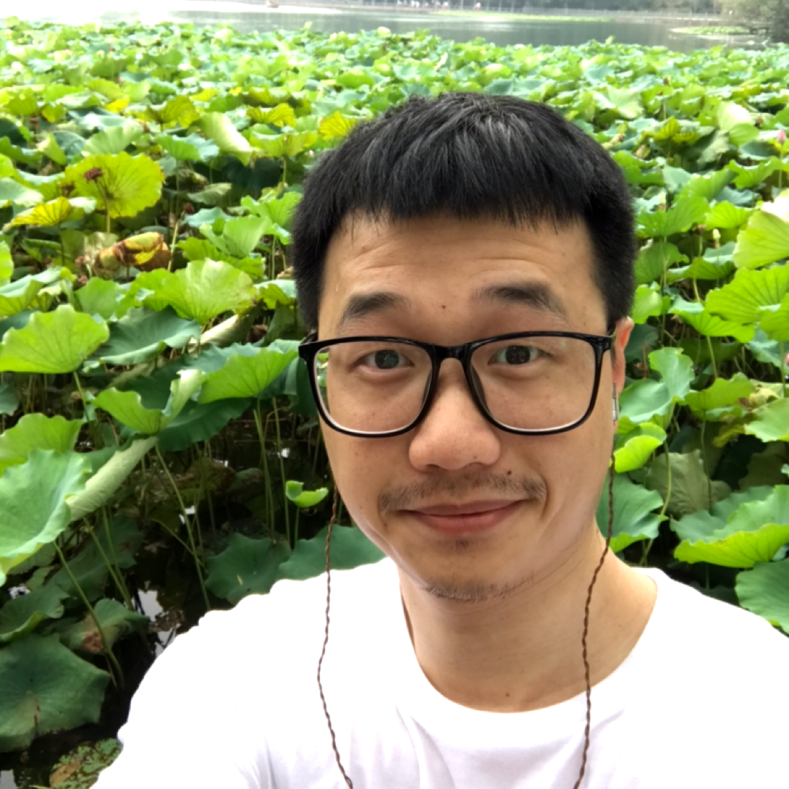 Lame的照片