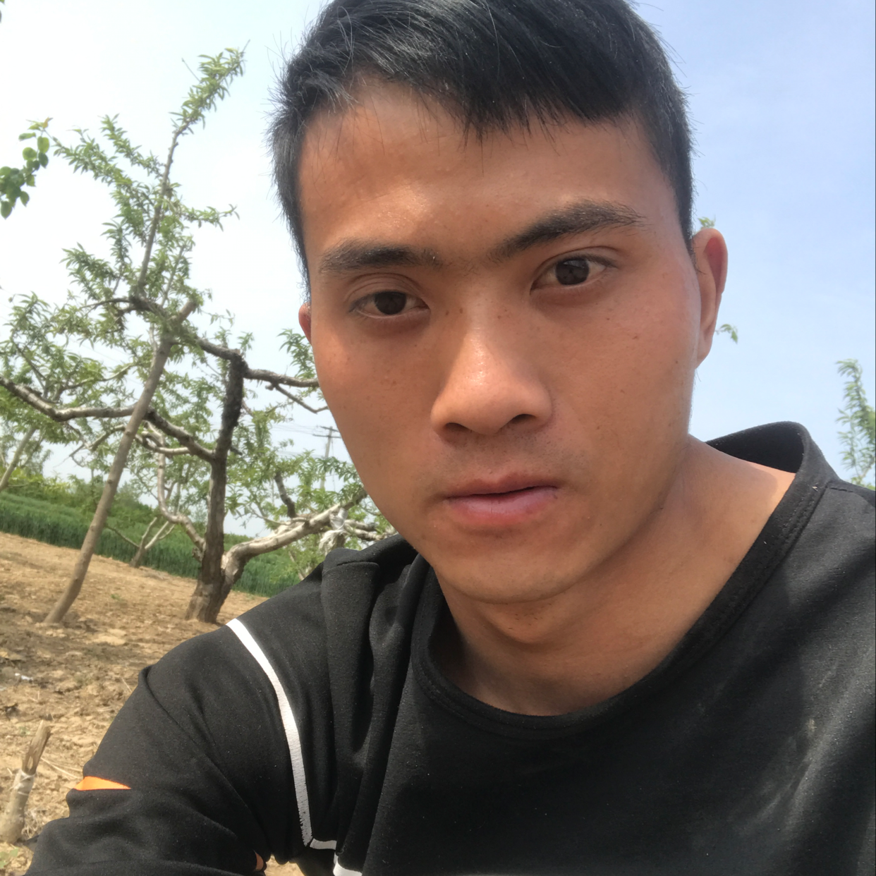 荼蘼爱落寂的照片