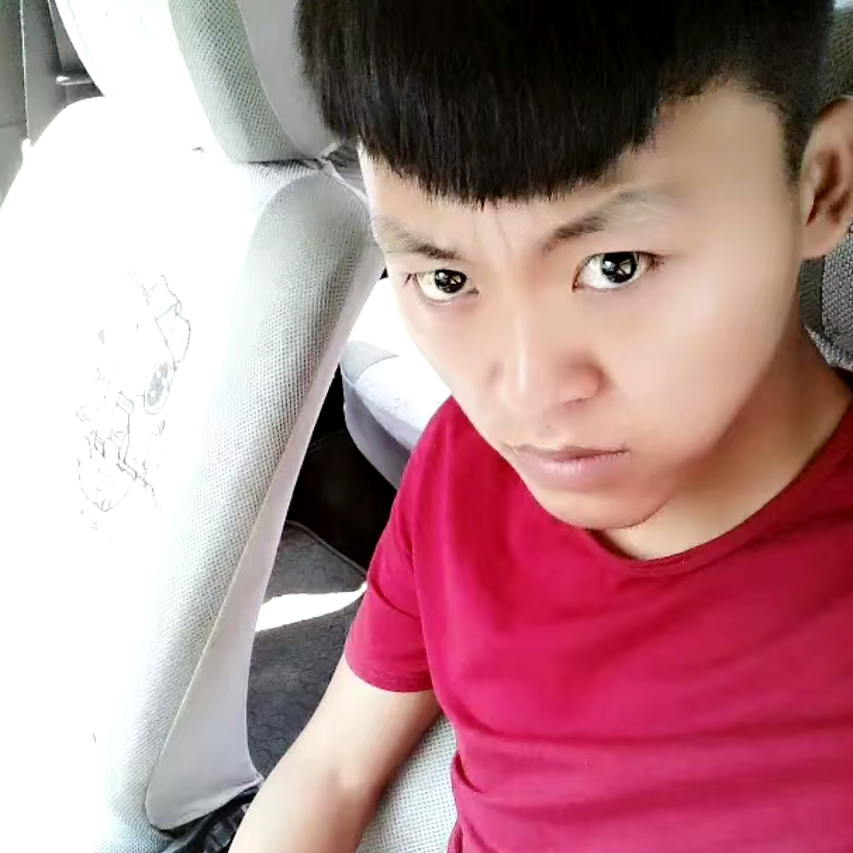 绝恋蹁跹潇洒的照片