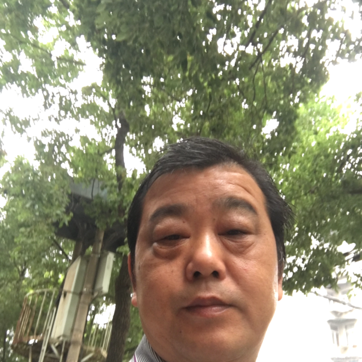 开放泪了飞鸟的照片