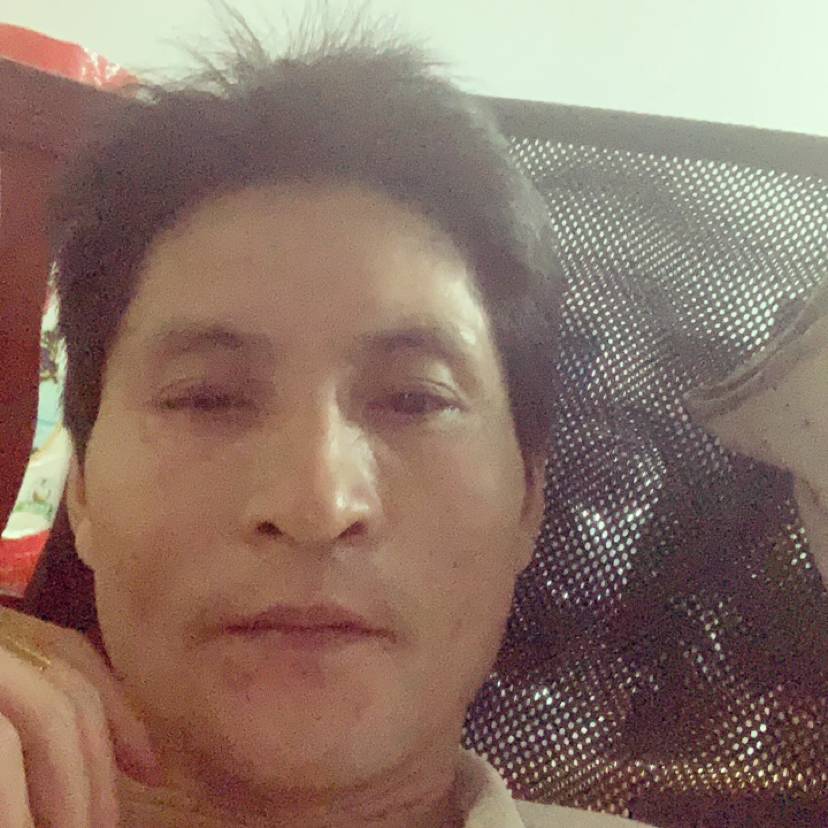 树叶给风趣的照片